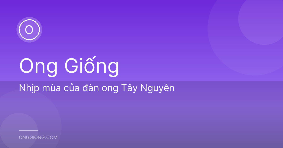 Nhịp mùa của đàn ong Tây Nguyên