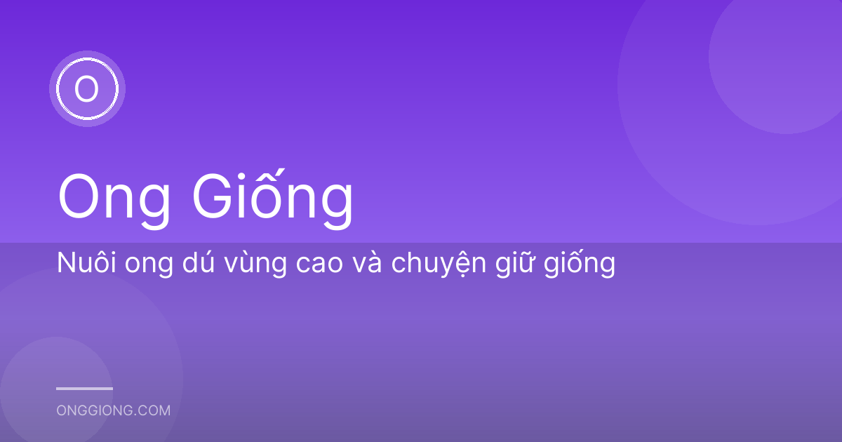 Nuôi ong dú vùng cao và chuyện giữ giống
