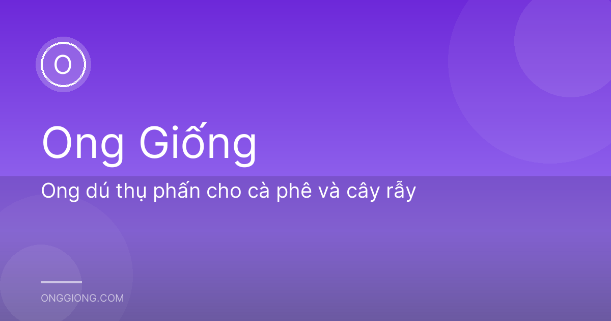 Ong dú thụ phấn cho cà phê và cây rẫy